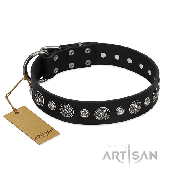 Quality genuine leather dog collar with trendy embellishments