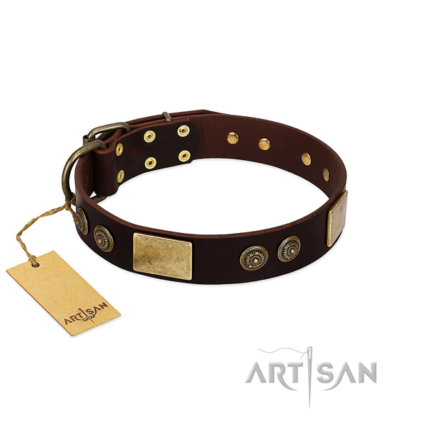 Corrosion resistant decorations on full grain genuine leather dog collar for your pet