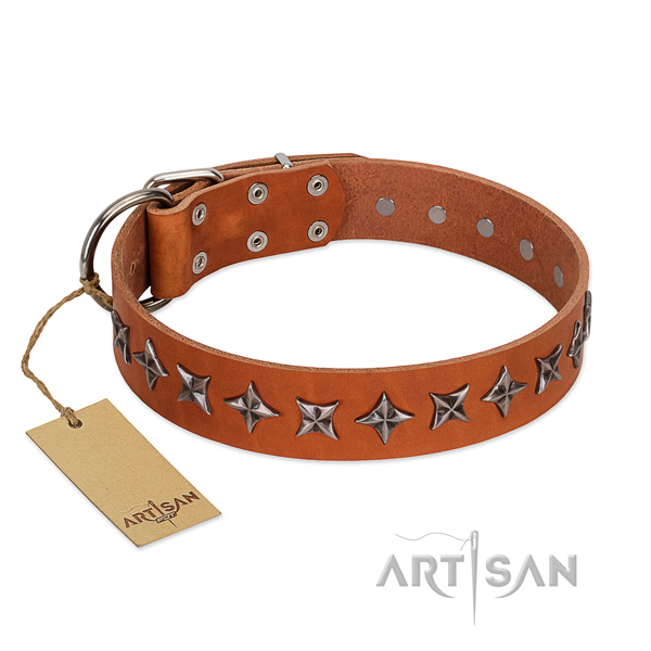 Handy use dog collar of strong full grain leather with embellishments
