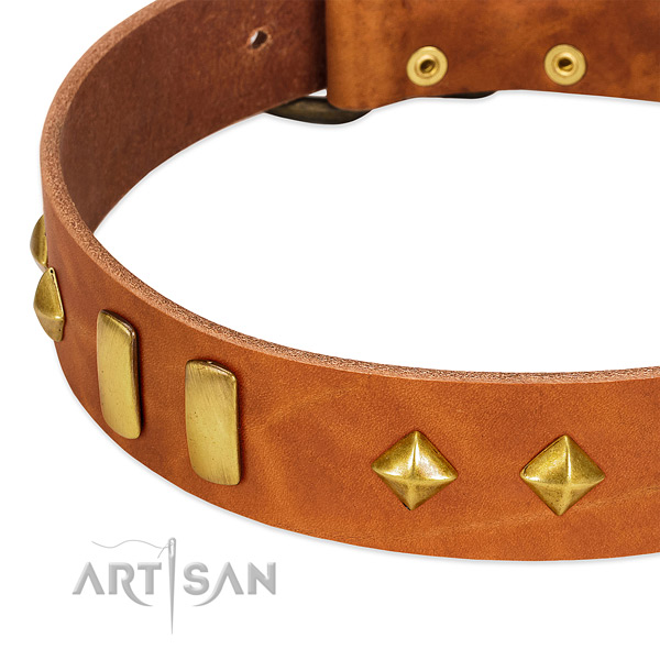 Handy use leather dog collar with significant embellishments