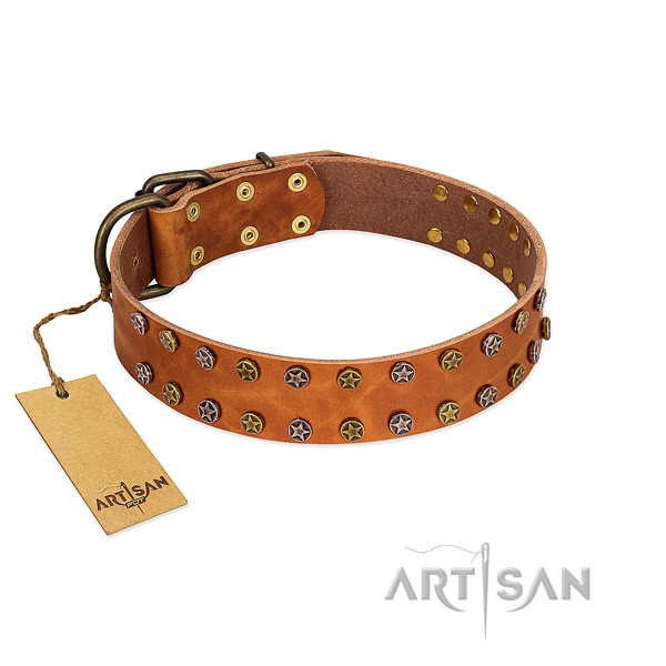 Stylish walking top rate natural leather dog collar with decorations