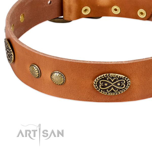 Corrosion proof decorations on full grain leather dog collar for your canine