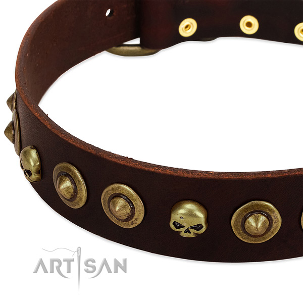 Awesome decorations on full grain natural leather collar for your pet