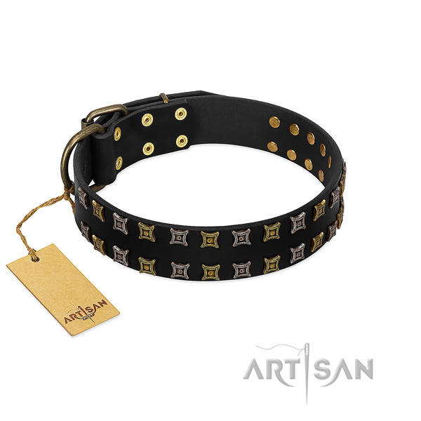Durable genuine leather dog collar with adornments for your canine