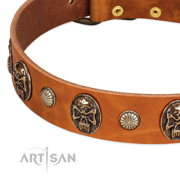 Reliable hardware on full grain leather dog collar for your canine
