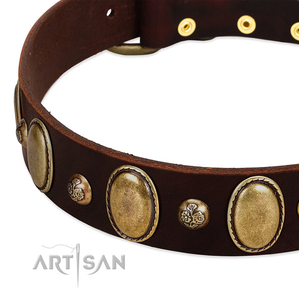 Leather dog collar with trendy adornments