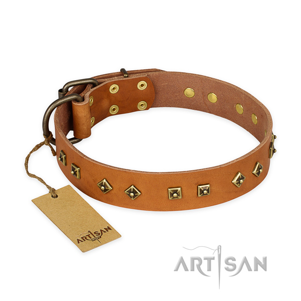 Fashionable leather dog collar with durable hardware