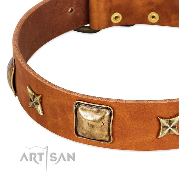 Rust-proof D-ring on leather dog collar for your dog