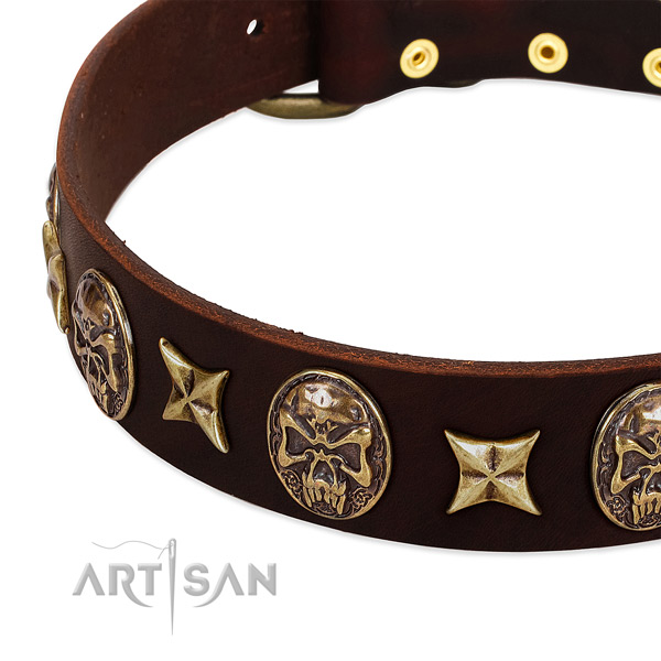 Corrosion resistant decorations on leather dog collar for your doggie
