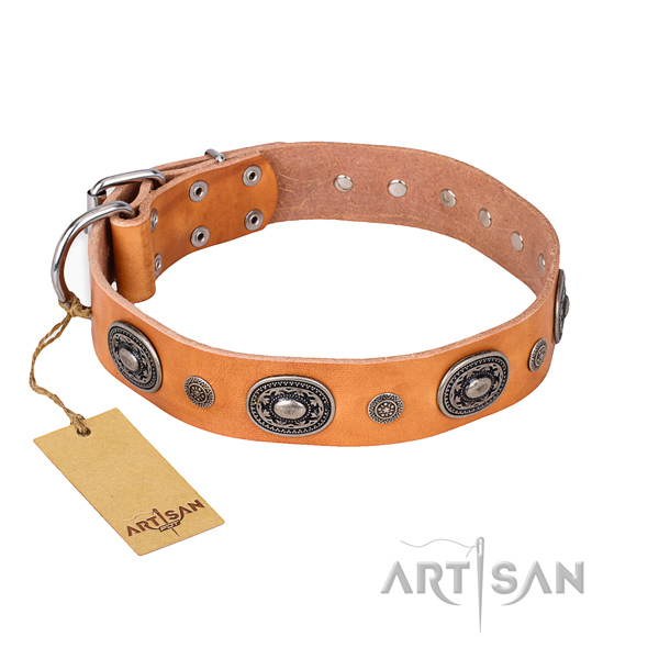 Durable leather collar crafted for your four-legged friend