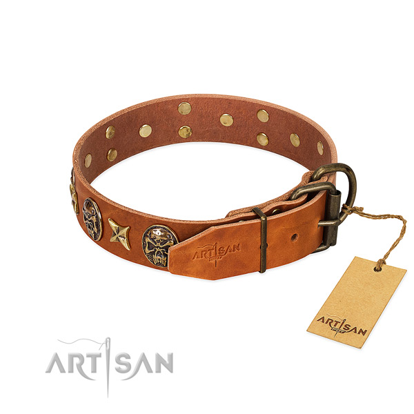 Full grain natural leather dog collar with rust-proof fittings and embellishments