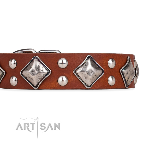 Full grain natural leather dog collar with exquisite reliable adornments
