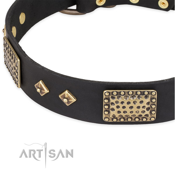 Strong adornments on full grain leather dog collar for your pet