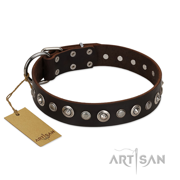 Quality genuine leather dog collar with stylish design embellishments