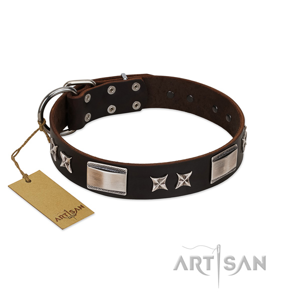 Trendy dog collar of natural leather