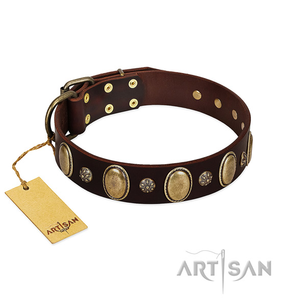 Everyday use flexible full grain natural leather dog collar with studs