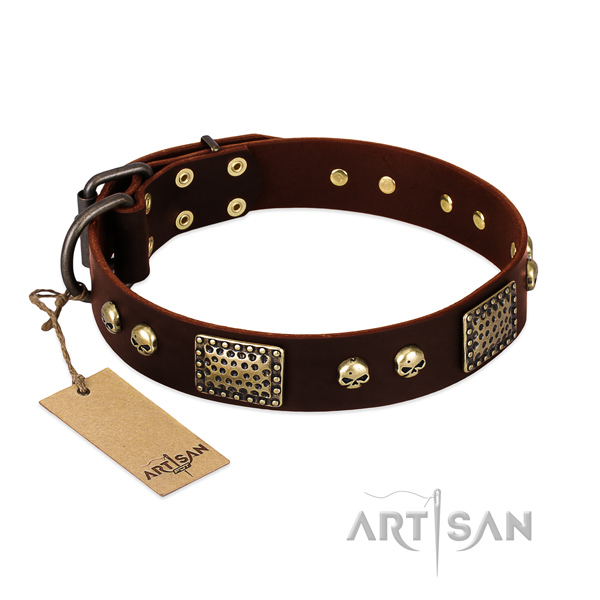 Easy to adjust full grain natural leather dog collar for walking your canine