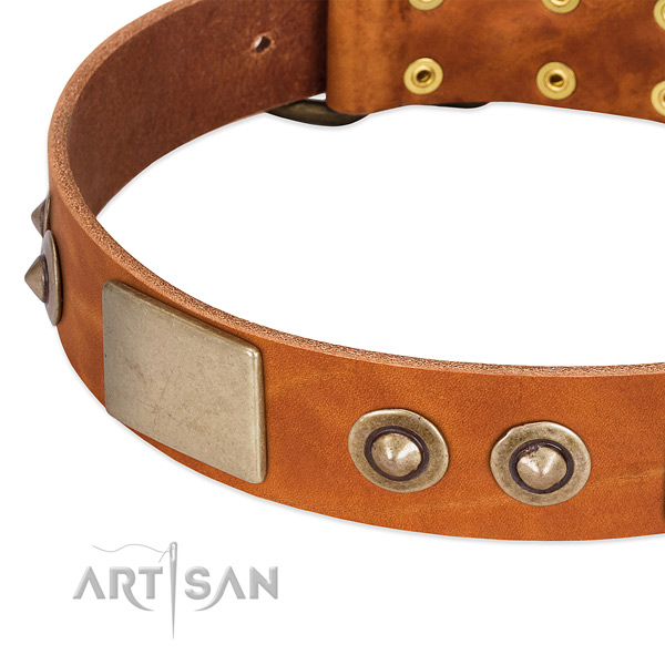 Corrosion proof fittings on genuine leather dog collar for your pet
