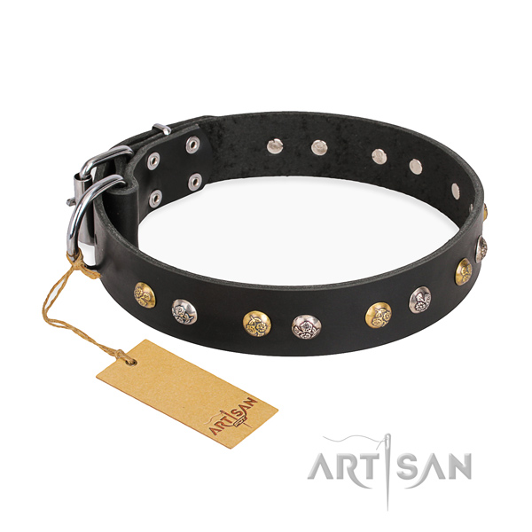 Basic training adorned dog collar with strong fittings