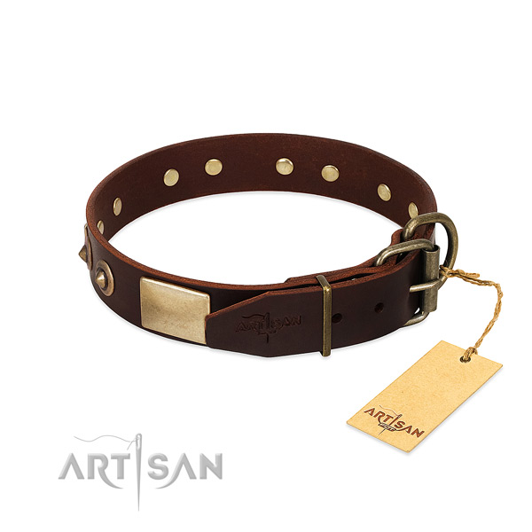 Rust resistant adornments on everyday walking dog collar