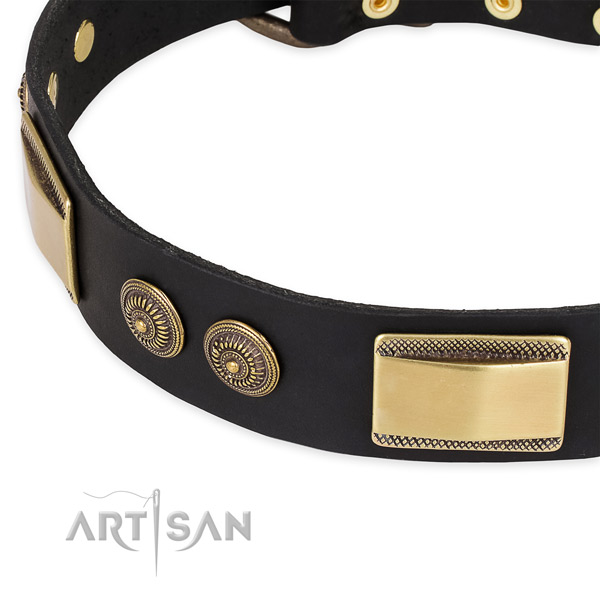 Incredible full grain leather collar for your stylish doggie