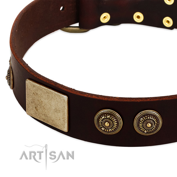 Strong decorations on full grain natural leather dog collar for your pet