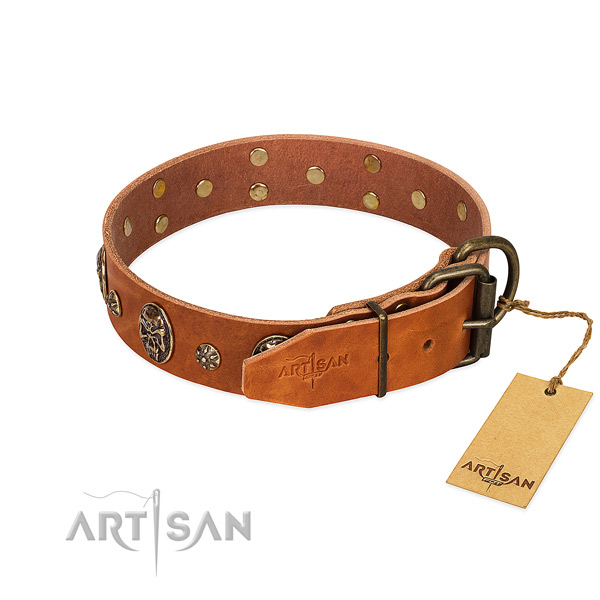 Rust-proof embellishments on full grain leather dog collar for your dog