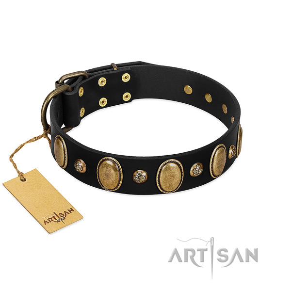 Leather dog collar of reliable material with unique embellishments