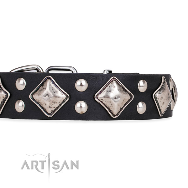Full grain leather dog collar with stunning durable studs