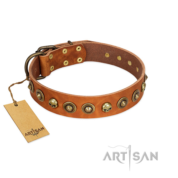 Natural leather collar with unusual adornments for your pet