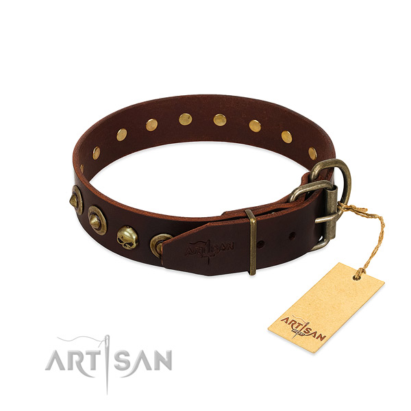 Full grain natural leather collar with trendy embellishments for your dog