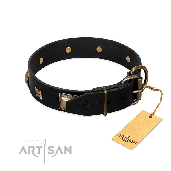 Strong traditional buckle on genuine leather collar for walking your four-legged friend