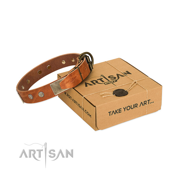 Reliable traditional buckle on dog collar for stylish walking