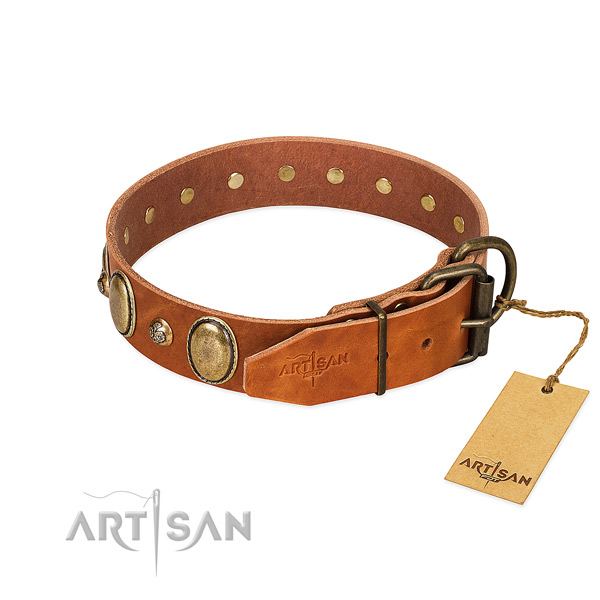 Incredible full grain genuine leather dog collar with corrosion resistant fittings