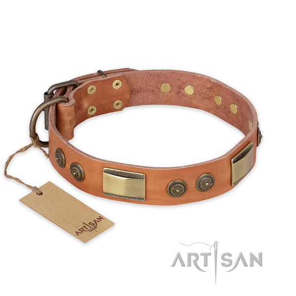 Decorated full grain leather dog collar for fancy walking