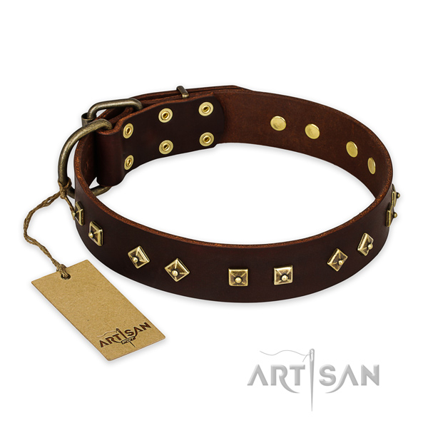 Easy to adjust full grain leather dog collar with corrosion resistant D-ring