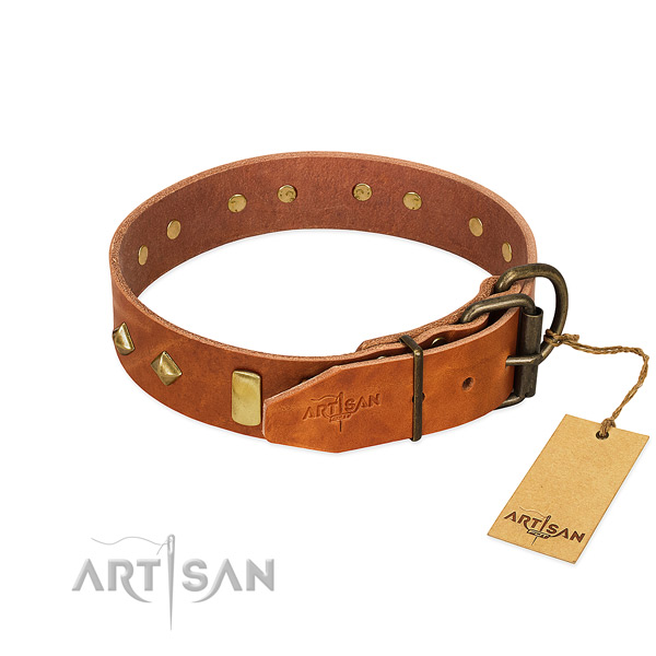 Daily walking leather dog collar with incredible decorations