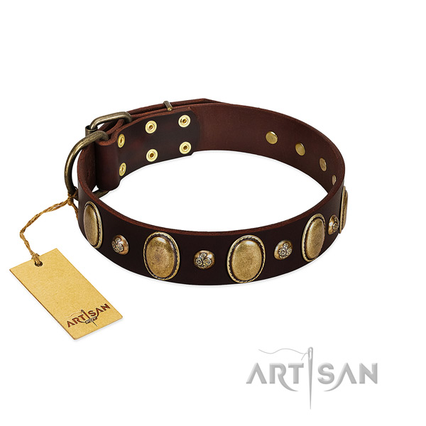 Genuine leather dog collar of high quality material with remarkable decorations