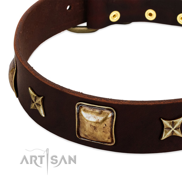 Reliable fittings on genuine leather dog collar for your pet