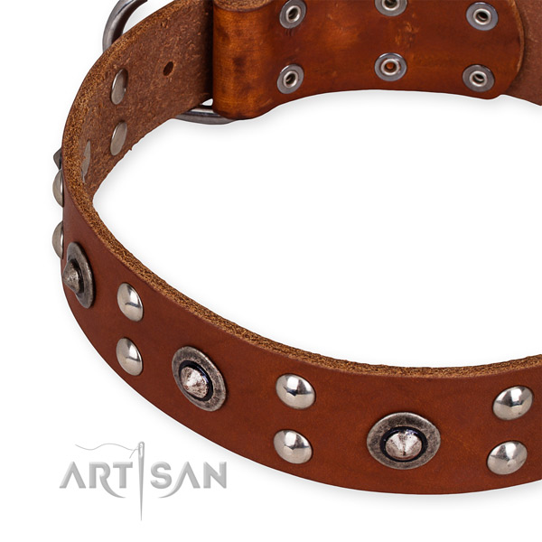 Full grain genuine leather collar with durable traditional buckle for your beautiful four-legged friend