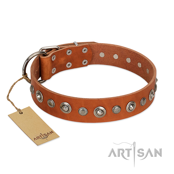 Top quality full grain leather dog collar with stunning studs