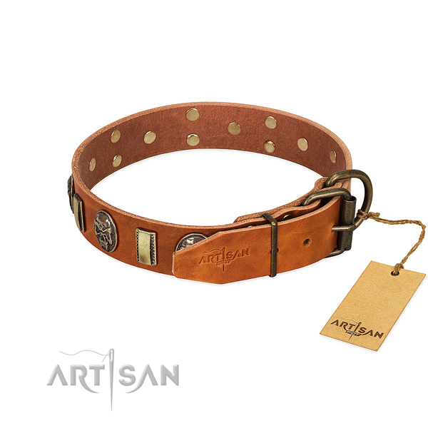 Full grain genuine leather dog collar with durable fittings and studs