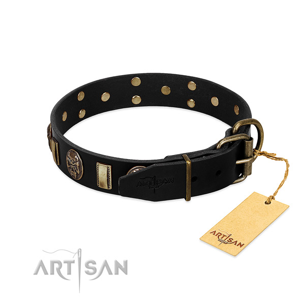 Natural genuine leather dog collar with strong buckle and studs