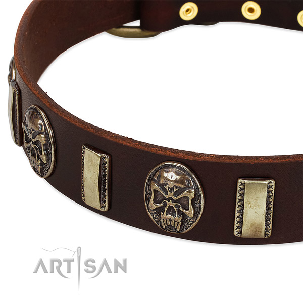 Rust-proof D-ring on full grain genuine leather dog collar for your four-legged friend