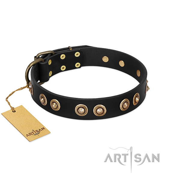 Strong adornments on full grain genuine leather dog collar for your doggie