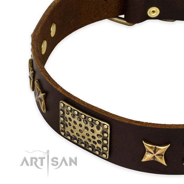 Full grain genuine leather collar with rust resistant traditional buckle for your beautiful pet