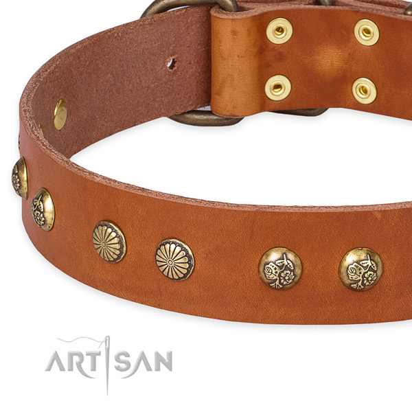 Full grain genuine leather collar with reliable D-ring for your lovely four-legged friend