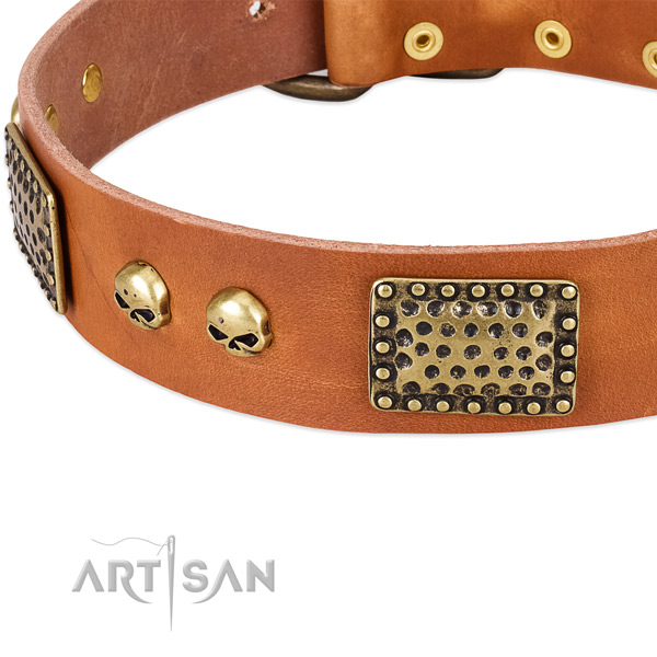 Strong traditional buckle on full grain leather dog collar for your pet