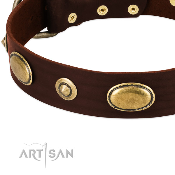 Durable decorations on natural leather dog collar for your dog