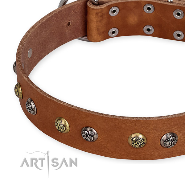 Genuine leather dog collar with stylish design corrosion proof studs